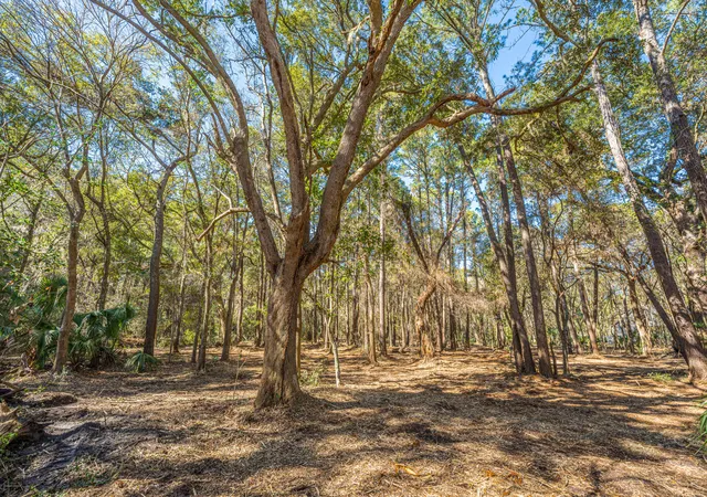 3rd image of 4066 Gnarled Oaks Ln, Johns Island, SC 29455 | MLS# 26006792