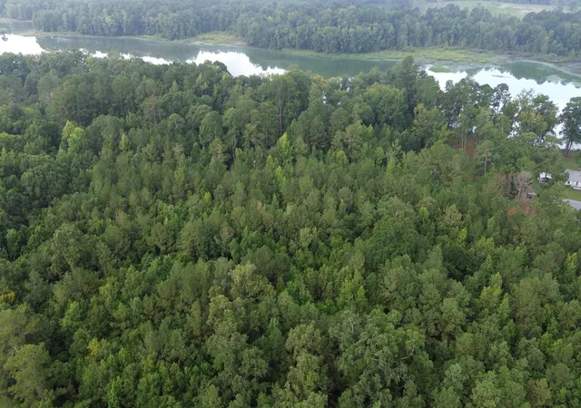 Photo 2 of Sale Pending at 1 Jasper Ln, Summerton, SC 29148 | MLS# 26022282 | Listing updated on 2026-09-01