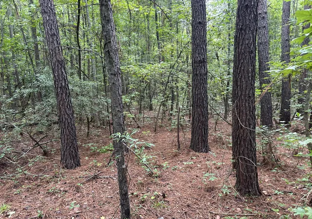 Photo 3 of Sale Pending at 1 Jasper Ln, Summerton, SC 29148 | MLS# 26022282 | Listing updated on 2026-09-01