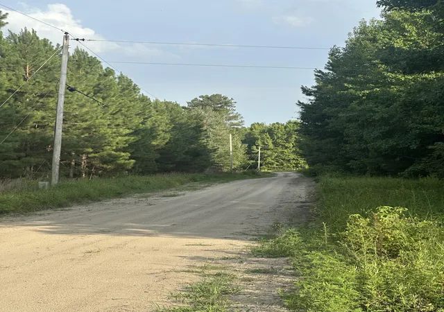2nd image of 0 Hoover, Branchville, SC 29432 | MLS# 26021926