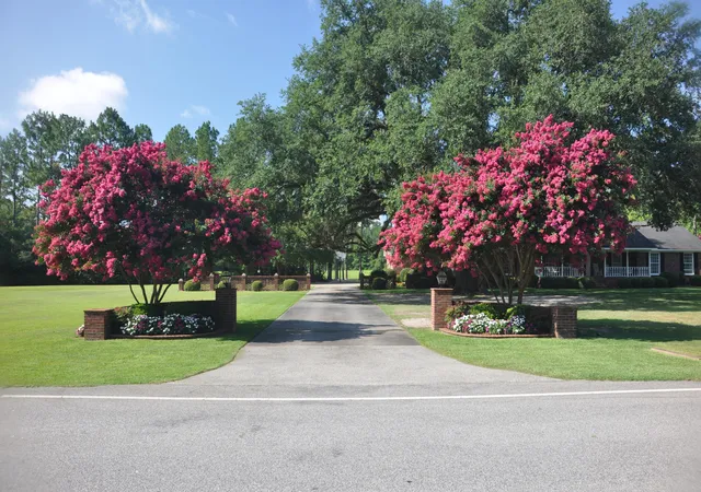 2nd image of 2899 Wire Rd, Saint George, SC 29477 | MLS# 26021369