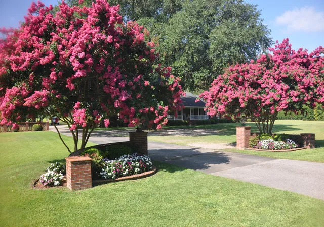 3rd image of 2899 Wire Rd, Saint George, SC 29477 | MLS# 26021369