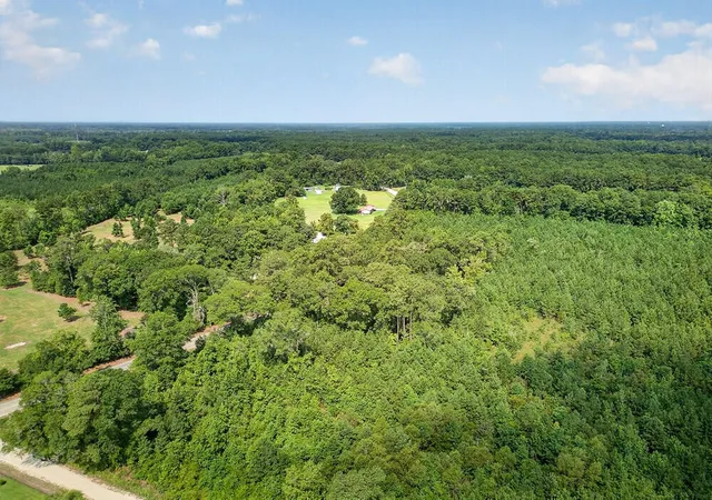Photo 3 of Land for sale at 00 1st Texas Rd, Saint George, SC 29477 | MLS# 26022691 | Listing updated on 2026-08-11