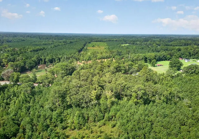 Photo 3 of Land for sale at 00 1st Texas Rd, Saint George, SC 29477 | MLS# 26022691 | Listing updated on 2026-08-11