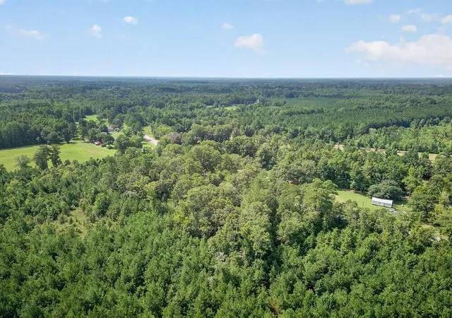 Photo 4 of Land for sale at 00 1st Texas Rd, Saint George, SC 29477 | MLS# 26022691 | Listing updated on 2026-08-11
