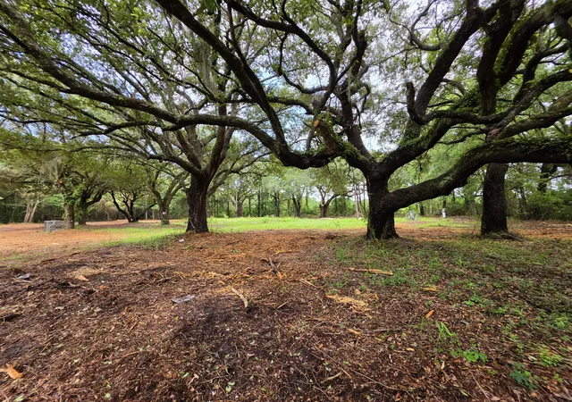 Photo 2 of Land for sale at 8710 Us 17 Hwy, Mc Clellanville, SC 29458 | MLS# 26022208 | Listing updated on 2026-08-04