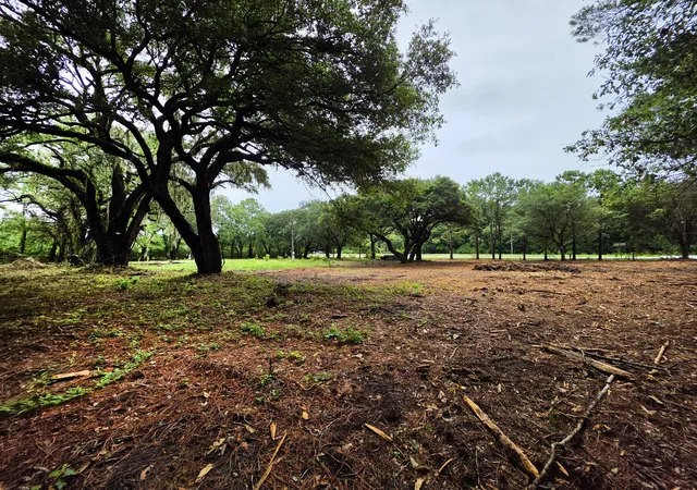 Photo 3 of Land for sale at 8710 Us 17 Hwy, Mc Clellanville, SC 29458 | MLS# 26022208 | Listing updated on 2026-08-04