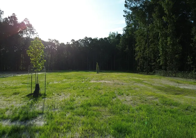 Photo 2 of Land for sale at 379 Fish Rd Ests Ln, Ridgeville, SC 29472 | MLS# 26020672 | Listing updated on 2026-07-20