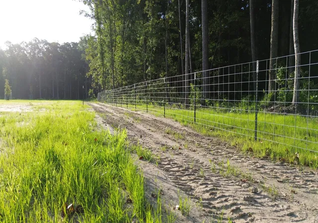 Photo 3 of Land for sale at 379 Fish Rd Ests Ln, Ridgeville, SC 29472 | MLS# 26020672 | Listing updated on 2026-09-15
