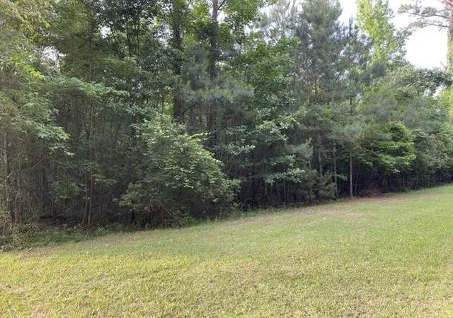 Photo 1 of Land for sale at 000 Belle Acres Dr, Orangeburg, SC 29118 | MLS# 24022655 | Listing updated on 2026-06-30