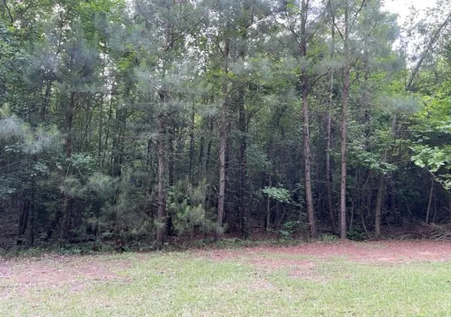 Photo 3 of Land for sale at 000 Belle Acres Dr, Orangeburg, SC 29118 | MLS# 24022655 | Listing updated on 2026-06-30