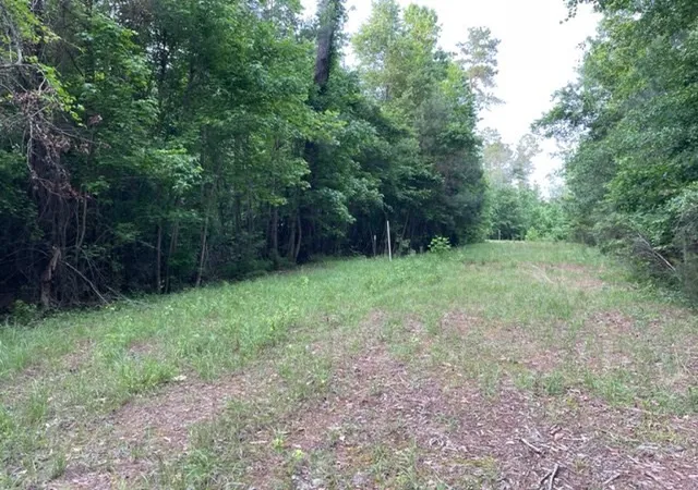 Photo 4 of Land for sale at 000 Belle Acres Dr, Orangeburg, SC 29118 | MLS# 24022655 | Listing updated on 2026-06-30