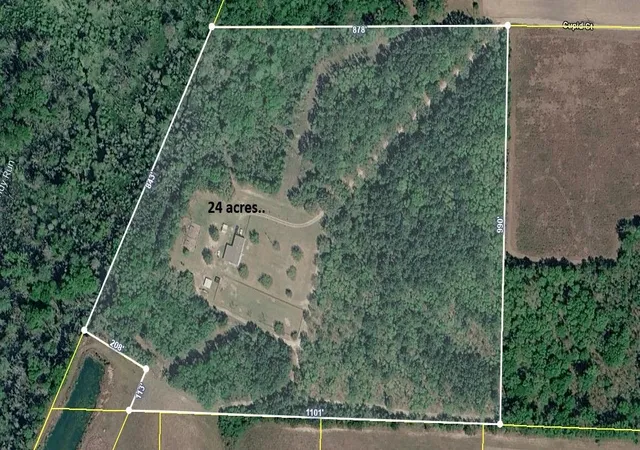 Photo 3 of Sale Pending at 189 Cupid Ct, Eutawville, SC 29048 | MLS# 26020914 | Listing updated on 2026-09-04