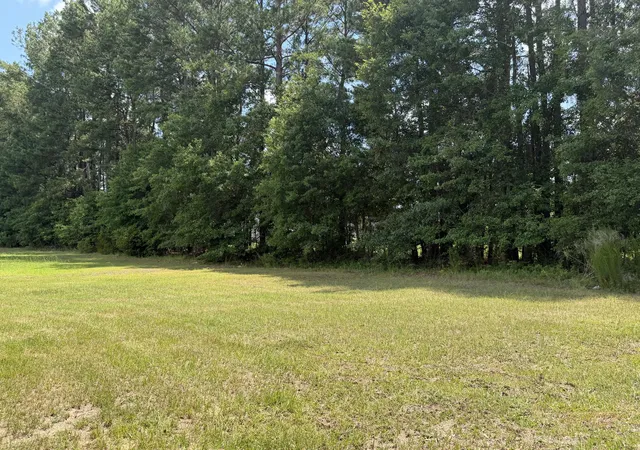 Homes for sale in Orangeburg, SC | 146 Whistletop Ln, Orangeburg, SC 29118 | MLS# 26019475
