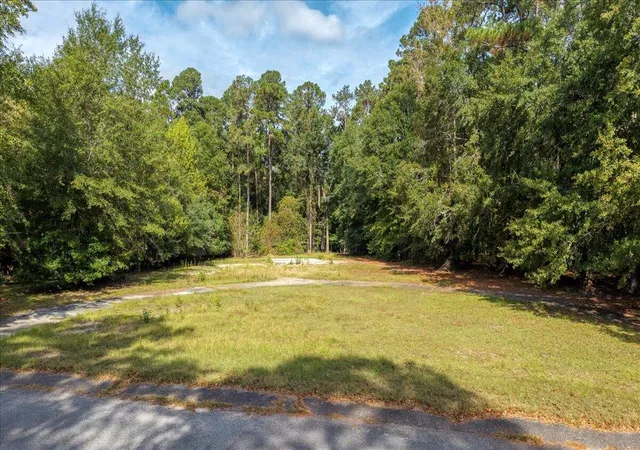 Photo 2 of Land for sale at 3340 Foxfire Lane Lane, Orangeburg, SC 29118 | MLS# 25027606 | Listing updated on 2026-07-18