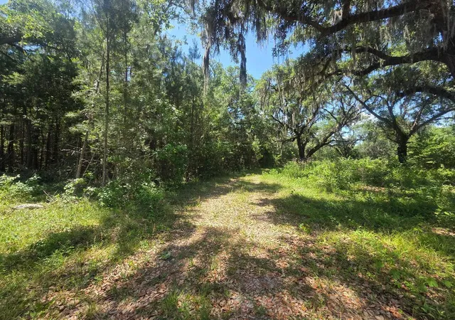 Homes for sale in Jacksonboro, SC | 0 Capital Rd, Jacksonboro, SC 29452 | MLS# 26016673