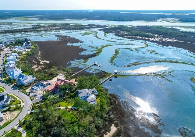 image of 117 Nobels Point St, Daniel Island, SC 29492 | MLS# 23012523