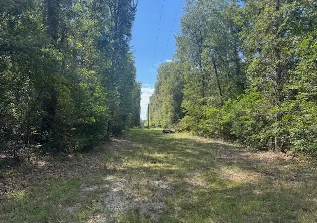 Photo 3 of Land for sale at 1651, 1571 Creek Ml Rd, North, SC 29112 | MLS# 26023237 | Listing updated on 2026-09-19