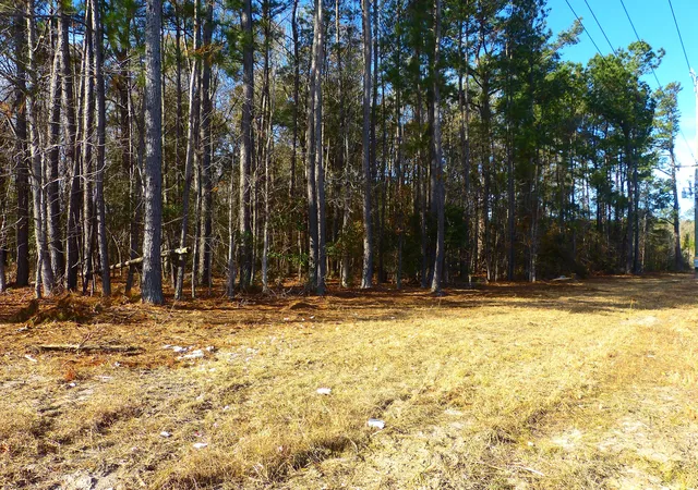 Photo 1 of Land for sale at 123 State Rd, Summerville, SC 29486 | MLS# 26000141 | Listing updated on 2026-07-21