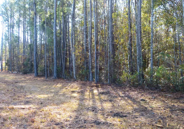 Photo 2 of Land for sale at 123 State Rd, Summerville, SC 29486 | MLS# 26000141 | Listing updated on 2026-07-21