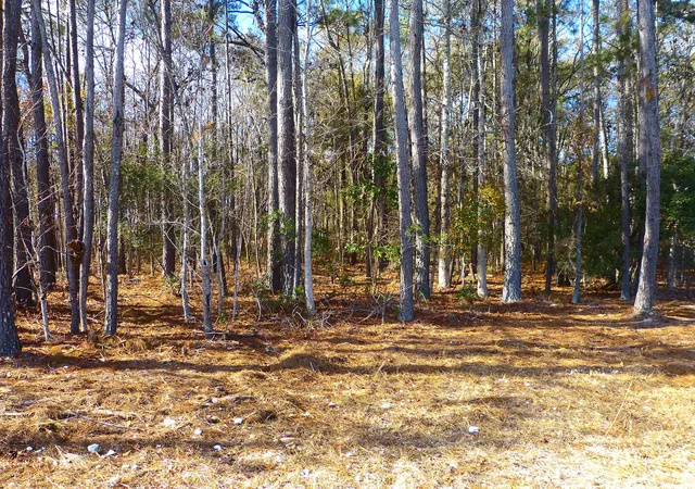 Photo 3 of Land for sale at 123 State Rd, Summerville, SC 29486 | MLS# 26000141 | Listing updated on 2026-07-21