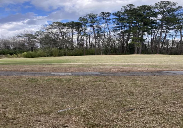16th image of 7 Dogwood Ln, Walterboro, SC 29488 | MLS# 26006322
