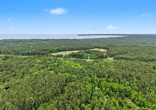 Photo 3 of Land for sale at Hwy 52 Us, Moncks Corner, SC 29461 | MLS# 26013899 | Listing updated on 2026-08-24