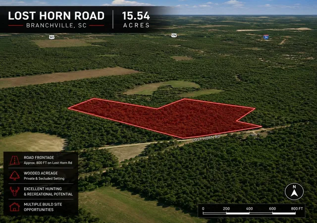 Homes for sale in Branchville, SC | 1 Lost Horn Rd, Branchville, SC 29432 | MLS# 26014297