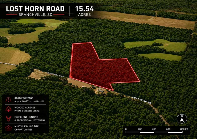Homes for sale in Branchville, SC | 1 Lost Horn Rd, Branchville, SC 29432 | MLS# 26014297