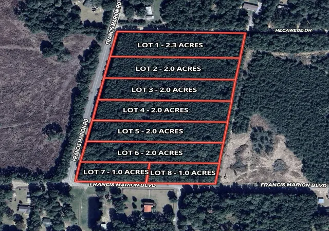 Homes for sale in Summerton, SC | 10 Francis Marion Blvd, Summerton, SC 29148 | MLS# 26018511