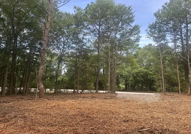 Homes for sale in Summerton, SC | 10 Francis Marion Blvd, Summerton, SC 29148 | MLS# 26018511