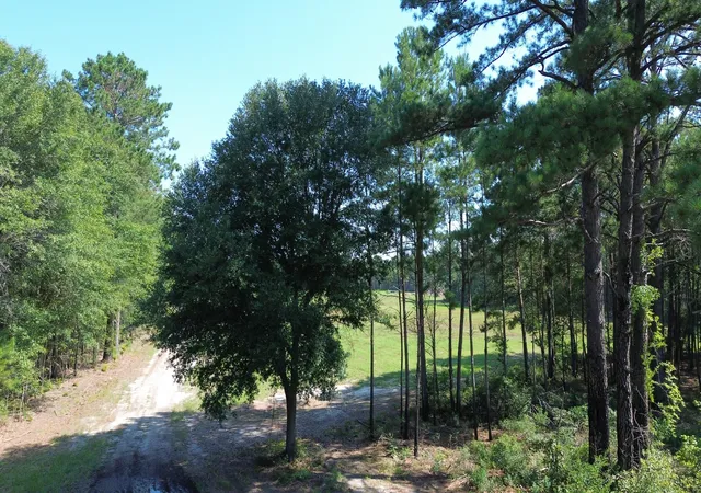 1st image of 4 Trojan Rd, Cross, SC 29436 | MLS# 26019650