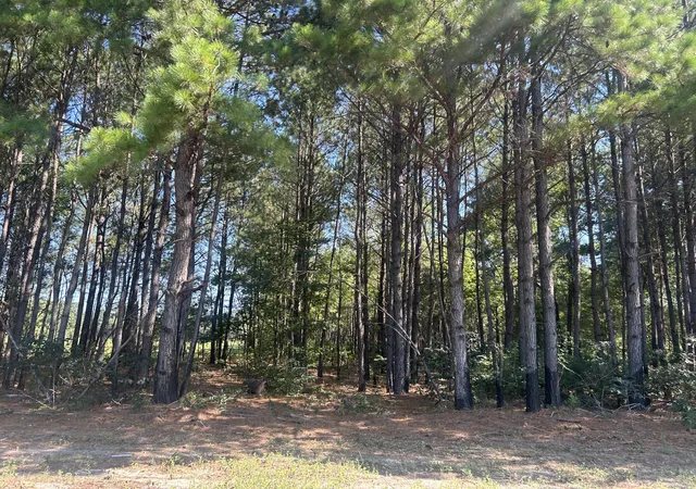3rd image of 4 Trojan Rd, Cross, SC 29436 | MLS# 26019650