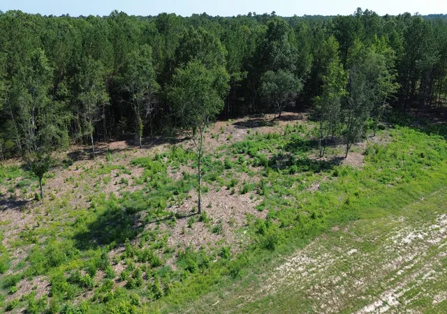 4th image of 4 Trojan Rd, Cross, SC 29436 | MLS# 26019650