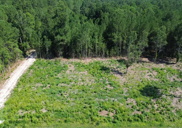 5th image of 4 Trojan Rd, Cross, SC 29436 | MLS# 26019650