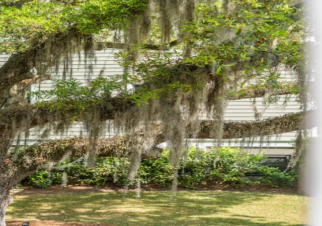 4th image of 164 River Green Pl, Daniel Island, SC 29492 | MLS# 26009806