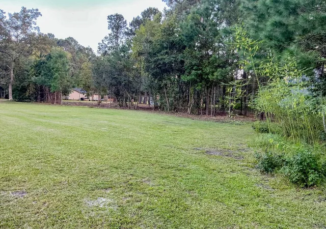 Photo 3 of Land for sale at 839 Burgin Rd, Mc Clellanville, SC 29458 | MLS# 25028165 | Listing updated on 2026-06-02