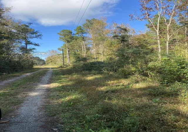 Photo 1 of Land for sale at 0 Lawyer Ln, Cross, SC 29436 | MLS# 24001475 | Listing updated on 2024-08-23