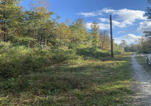 Photo 2 of Land for sale at 0 Lawyer Ln, Cross, SC 29436 | MLS# 24001475 | Listing updated on 2024-08-23