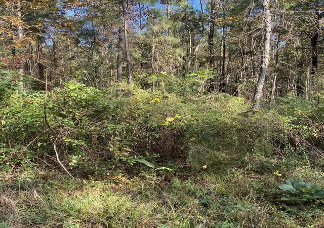 Photo 3 of Land for sale at 0 Lawyer Ln, Cross, SC 29436 | MLS# 24001475 | Listing updated on 2024-08-23