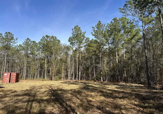 Photo 3 of Sale Pending at 0 E Church St, Bonneau, SC 29431 | MLS# 26021615 | Listing updated on 2026-09-13
