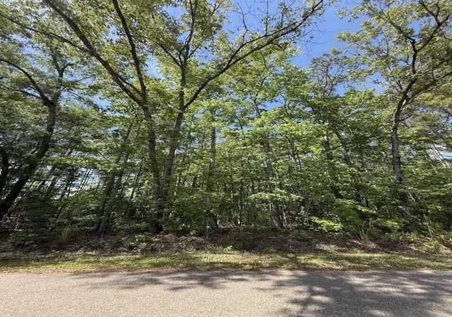 Photo 3 of Land for sale at 0 Moffett Rd, Hollywood, SC 29449 | MLS# 26012759 | Listing updated on 2026-07-14
