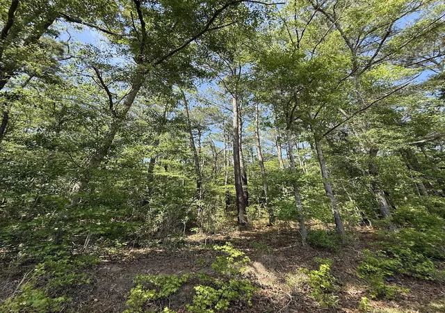 Photo 3 of Land for sale at 0 Moffett Rd, Hollywood, SC 29449 | MLS# 26012759 | Listing updated on 2026-07-14