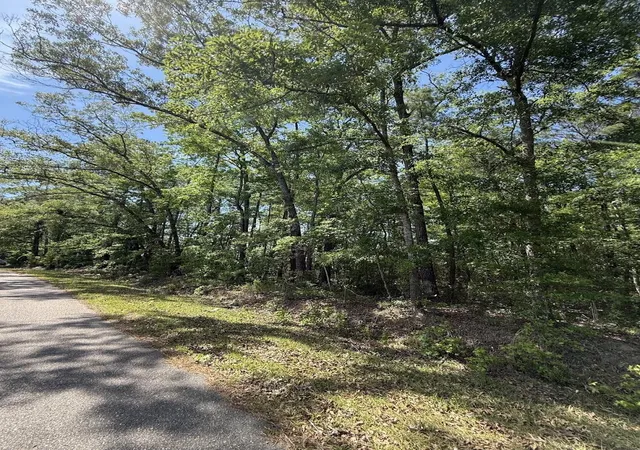 Photo 4 of Land for sale at 0 Moffett Rd, Hollywood, SC 29449 | MLS# 26012759 | Listing updated on 2026-07-14