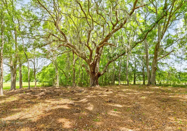 Photo 2 of Land for sale at 2571 Bryans Dairy Rd, Johns Island, SC 29455 | MLS# 26013794 | Listing updated on 2026-08-15