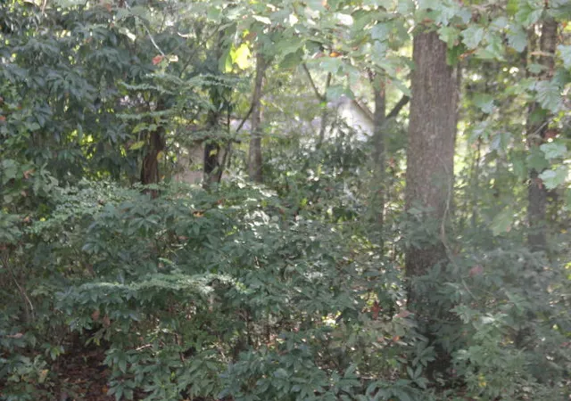 Photo 1 of Land for sale at 00 Flint St, Charleston, SC 29412 | MLS# 19000253 | Listing updated on 2024-08-22