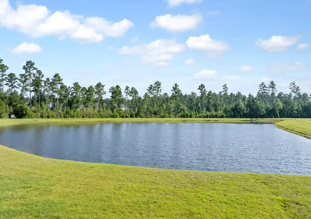 Homes for sale in Summerville, SC | 416 Richfield Way, Summerville, SC 29486 | MLS# 25021048