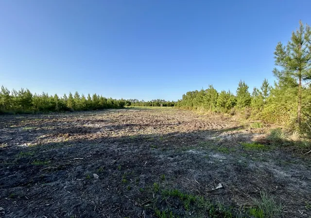 5th image of 0 Fc Cox Rd, Hemingway, SC 29554 | MLS# 26019609