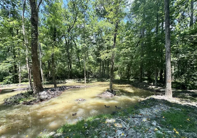 Photo 33 of Single family home for sale at 110 Poplar Grv Rd, Cope, SC 29038 | MLS# 26014686 | Listing updated on 2026-10-11