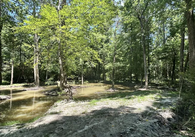 Homes for sale in Cope, SC | 110 Poplar Grove Rd, Cope, SC 29038 | MLS# 26014686